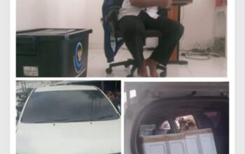Benih Lobster Senilai Rp7,18 Miliar Disorot, Eri Doni Tak Tunjukkan Bukti Foto dan Video Saat Pelepasliaran di Sumbar