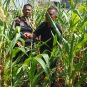 Pekarangan Sempit, Manfaat Besar: Polsek Pasawahan Dorong Ketahanan Pangan dari Rumah Warga