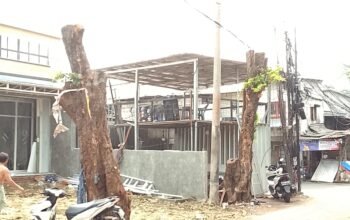 Proyek Indomaret di Kembangan Disorot: Dugaan Pelanggaran Perizinan dan Perusakan Pohon Lindung Picu Sorotan Publik