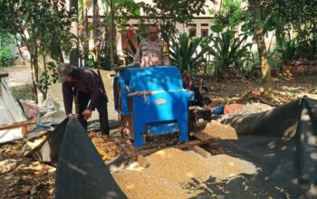Dari Ladang ke Bulog, Bhabinkamtibmas Bungursari Dampingi Petani Pemipilan Jagung Hibrida Dukung Ketahanan Pangan