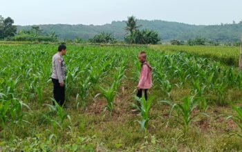 Saat Petani Mulai Mengeluhkan Kekeringan, Polsek Cibatu Turun ke Lahan Dengarkan Aspirasi Warga