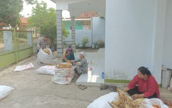 Bhabinkamtibmas Bantu Ibu-Ibu Petani Pascapanen Jagung, Wujud Nyata Dukungan Polri terhadap Ketahanan Pangan