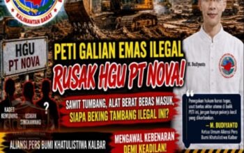 PETI Menggerogoti HGU PT Nova di Ketapang, Siapa Aktor Besar di Baliknya? APH Didesak Bongkar Jaringan Pemodal dan Pelindung Tambang Ilegal