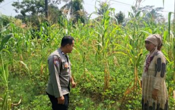 Dari Jagung hingga Kacang Tanah, POLRI Dorong Petani Plered Kembangkan Pertanian Produktif