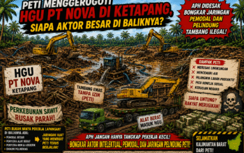PETI Menggerogoti HGU PT Nova di Ketapang, Siapa Aktor Besar di Baliknya? APH Didesak Bongkar Jaringan Pemodal dan Pelindung Tambang Ilegal