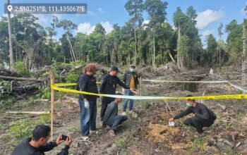 Tri Dianti Ditemukan Tewas Terikat dan Dikubur di Kebun Sawit, Polisi Amankan Terduga Pelaku