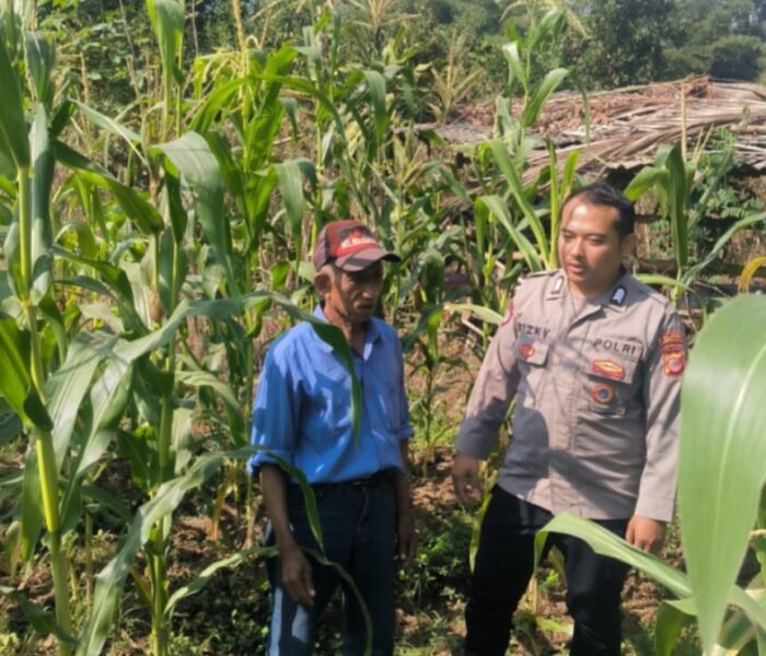 Jumat Curhat Bersama Petani, Polsek Plered Dukung Swasembada Pangan Lewat Pendampingan Jagung Hibrida