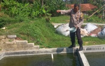 Bhabinkamtibmas Polsek Jatiluhur Turun Langsung Bantu Beri Pakan Lele, Dukung Ketahanan Pangan Nasional dari Desa