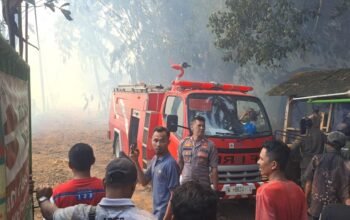 Tiga Kandang Ayam Broiler di Maniis Terbakar, Polres Purwakarta Pastikan Tidak Ada Korban Jiwa