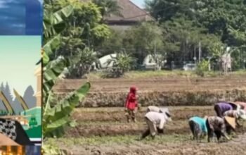 27 Kecamatan di Kabupaten Bandung Siaga Kekeringan, Pemkab Siapkan Toren dan Pompa Sawah