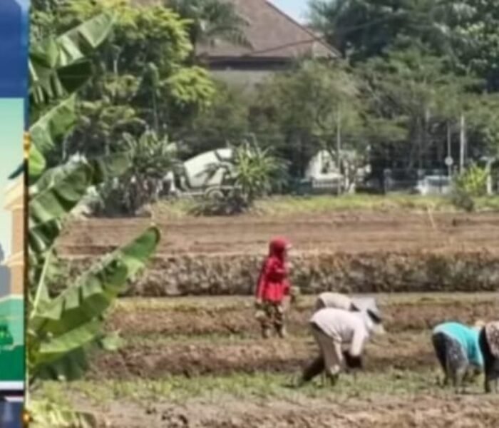 27 Kecamatan di Kabupaten Bandung Siaga Kekeringan, Pemkab Siapkan Toren dan Pompa Sawah