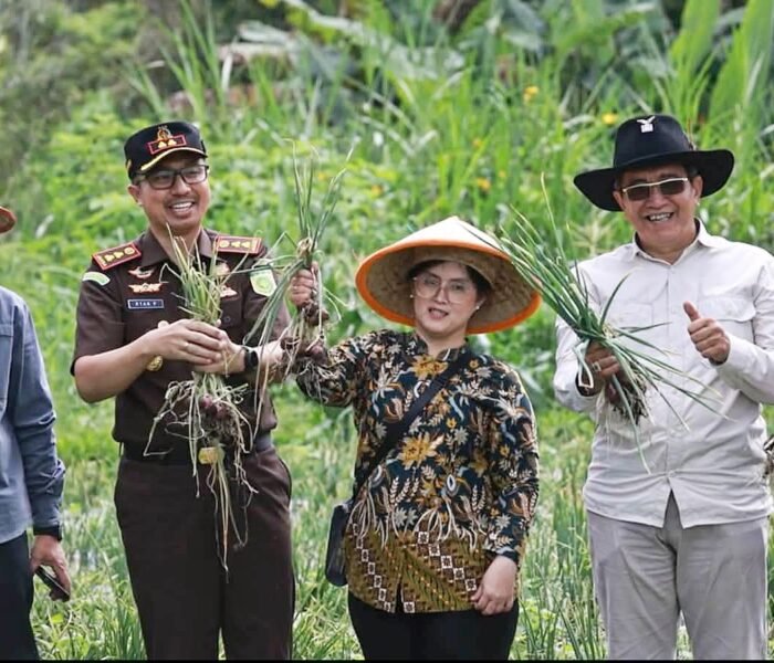 Kajari Ryan Palasi Pimpin Panen Bawang Perkuat Ketahanan Pangan