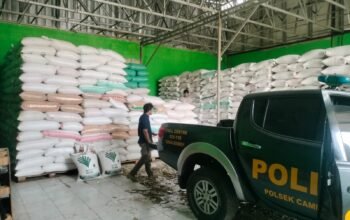 Dukung Program Swasembada Pangan, Polsek Campaka Kawal Penyerapan Hasil Panen Jagung Petani ke Bulog