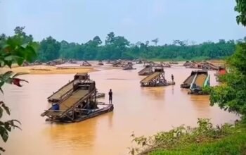 PETI Tebo Kembali Menggila, Penertiban Dipertanyakan: Siapa yang Membiarkan?