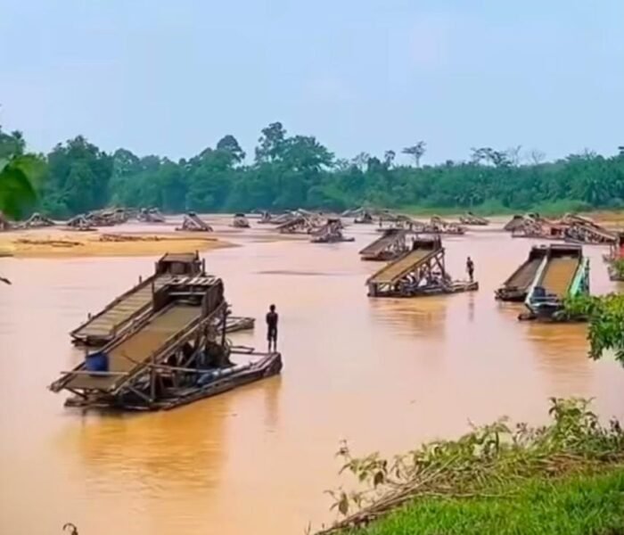 PETI Tebo Kembali Menggila, Penertiban Dipertanyakan: Siapa yang Membiarkan?