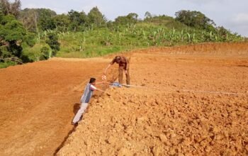 Bupati 50 Kota H. Safni Pacu Pembangunan 447 Huntap Korban Bencana