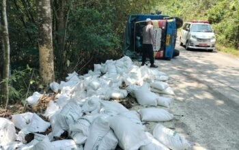 Mobil Pengangkut Bantuan Pangan Alami Laka Tunggal di Tanjakan Kampung Pagadungan, Polri Hadir Tangani Situasi