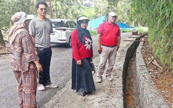 Mulyani Realisasikan Pembangunan Nagari Paninjauan X Koto Lewat Dana Pokir