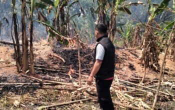Lahan Warga di Perbatasan Tol Cipularang Terbakar, Polisi Ingatkan Bahaya Kebakaran di Musim Kering