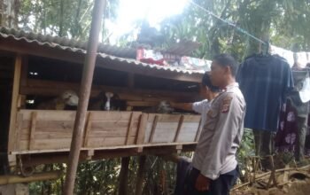 Cek Kandang Kambing Warga, Polsek Pasawahan Dorong Ketahanan Pangan dari Desa