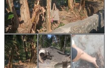 Proyek Irigasi Pendarungan Disorot, LSM Harimau Desak Pemeriksaan Teknis dan Klarifikasi Pelaksana