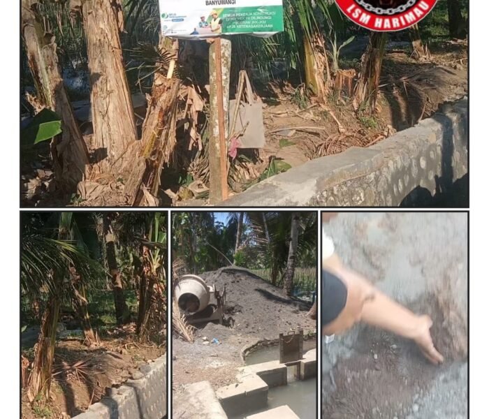 Proyek Irigasi Pendarungan Disorot, LSM Harimau Desak Pemeriksaan Teknis dan Klarifikasi Pelaksana