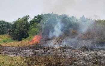 Respons Laporan Kebakaran Lahan, Polsek Campaka Bersama Damkar Lakukan Pemadaman