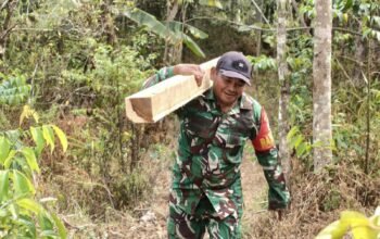 Satgas TMMD Ke-130 Kodim 0622/Kabupaten Sukabumi Bersama Warga Gotong Royong Angkut Kayu Untuk Renovasi Masjid Al Barokah