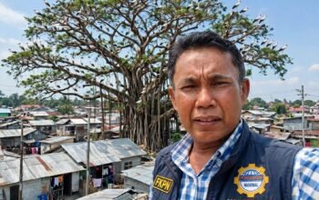 Cara Humanis Halau Bangau & Kelelawar di Tengah Padatnya Pemukiman Kota Batusangkar