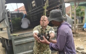 Dukung Program Unggulan Kasad Bersatu Dengan Alam, TMMD Ke-130 Kodim 0622 Kab. Sukabumi Hadirkan 500 Bibit Pohon Untuk Penghijauan
