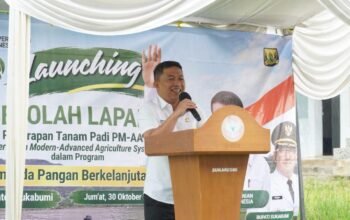 Wakil Bupati Sukabumi H. Andreas, S.E., Launching Sekolah Lapangan Penerapan Tanam Padi PM-AAS di Cijambe Girang Desa Sukaresmi Kecamatan Cisaat